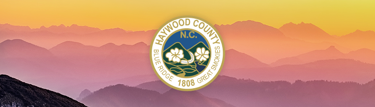 Haywood County Area Treatment Resources