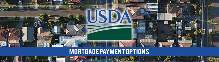 USDA Mortgage Payment Options